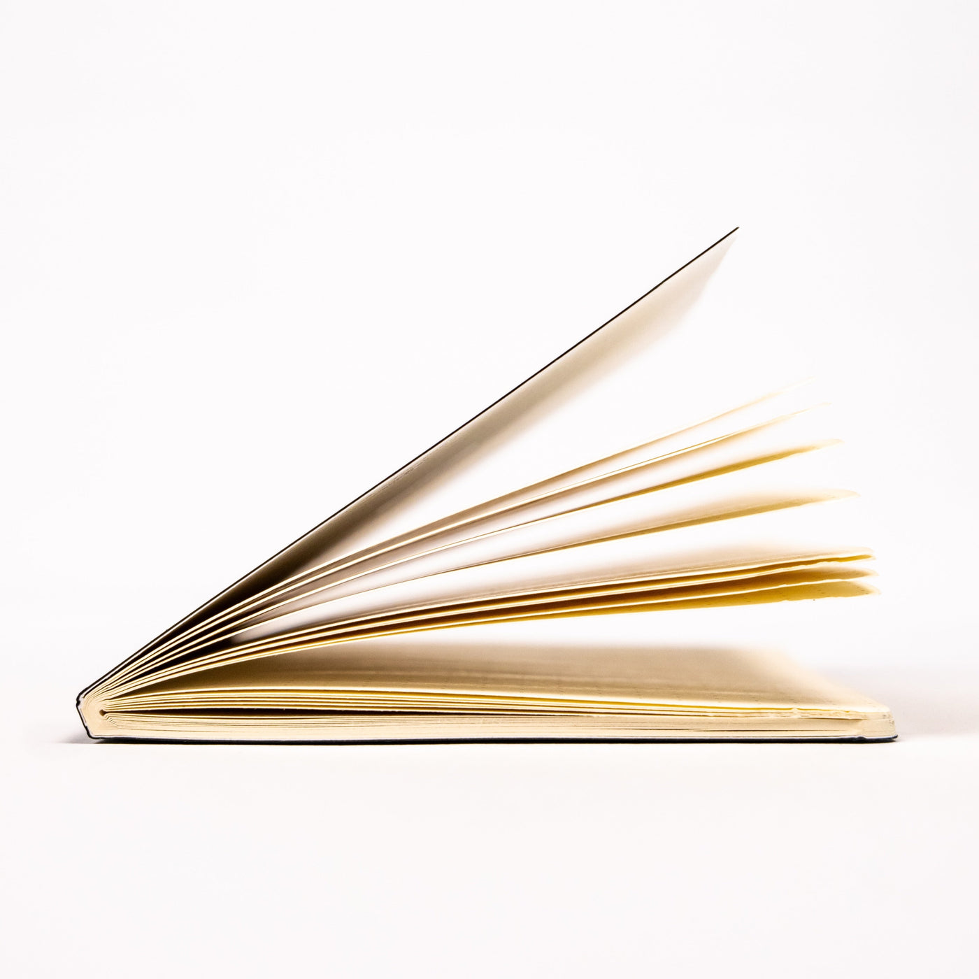 Everyday Notebook