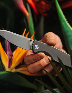 Titanium frame lock pocket knife with a sleek gray finish, held in hand among tropical foliage
