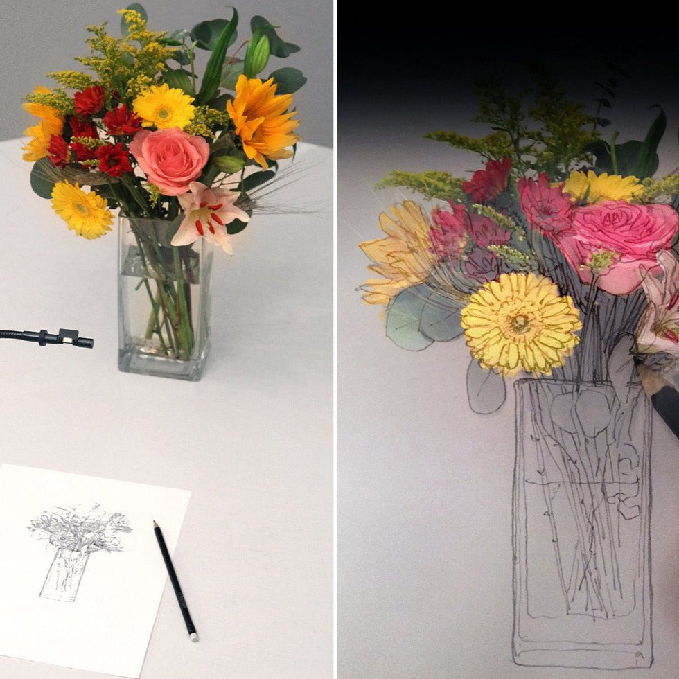 NeoLucida : The 21st Century Camera Lucida Drawing Tool