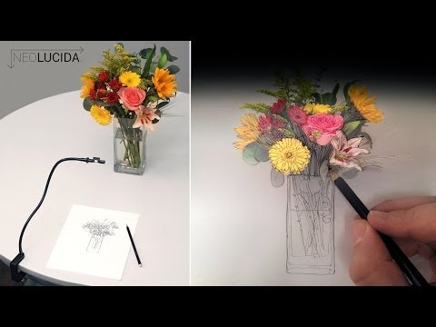NeoLucida : The 21st Century Camera Lucida Drawing Tool – Big Idea