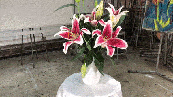 NeoLucida XL camera lucida used to draw detailed bouquet of pink and white lilies in art studio
