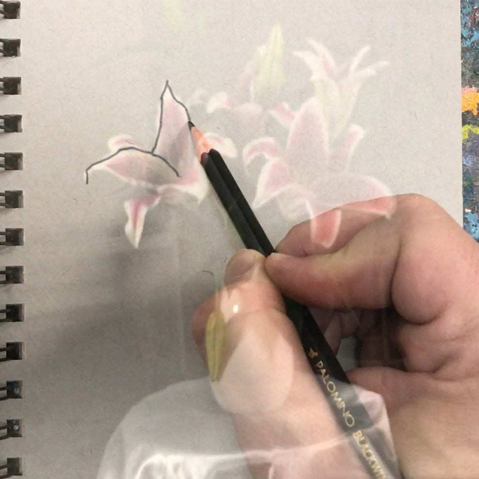 Hand drawing a flower using NeoLucida XL camera lucida on sketchbook with pencil